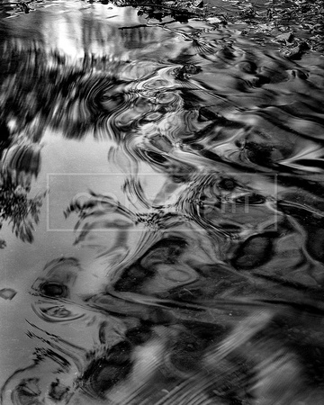 The Theme is Water. The format is 4x5